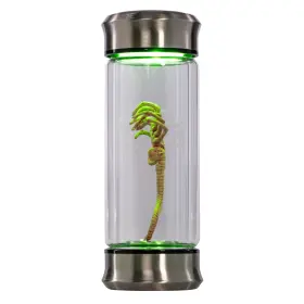 Costume Agent 197895044117 Alien Critter Embryo Glass Bottle With Display Box 8 Inch Collectible Movie Prop