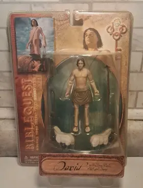 Discover 842862000015 Bible Quest David Action Figure With Staff Sheep And More New