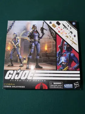 F6679 Hasbro G.i. Joe Classified Series Cobra Valkyrie Officer And Trooper Playset