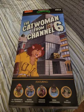 77n030421 Neca The Catwoman From Channel 6 Tmnt Set
