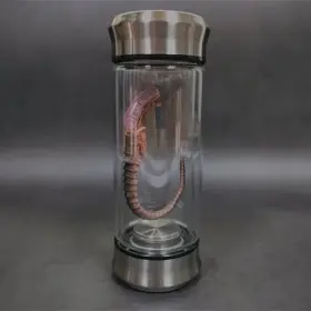 Onestop-stores 445024161109 Alien Glow Jar Xenomorph Specimen Facehugger Embryo Glass Movie Prop Replica