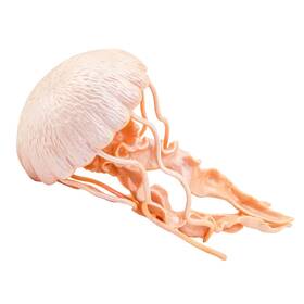 Safari Ltd. S265529 Ltd. Jellyfish Figurine - Detailed 5 Inch Plastic Model Figure