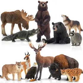 B07kf9m9bh Toymany 12pcs North American Forest Animal Figurines Realistic Jungle Se