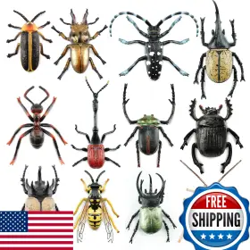 B0fh6ht2zg Toymany 12pcs Realistic Insects Figurines Toys Plastic Bugs Set For Kids