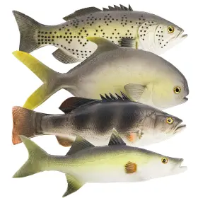 B09xdlw365 Zenfun 4-pack 11 Inch Lifelike Rubber Fish Set - Fake Sea Prop Decor