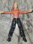 Wwe Wwf 2 Xtreme Jeff Hardy Action Figure Jakks Pacific Rare Used. Price: $37.99.