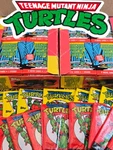 Teenage Mutant Ninja Turtles Figures & Accessories Tmnt 90'S Nostalgia Items!! New. Price: $9.99.