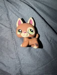 Littlest Pet Shop Lps #1362 German Shepherd Rare Authentic Used. Price: $30.00.