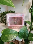 Plum "is The Order Rabbit ?": (cocoa) No Scale Pvc Mini Figure "new" (sealed).. Price: $29.99.