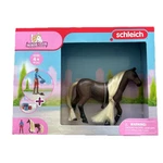 Schleich Horse Club Leo Beauties 4.5" Rocky & Accessories Set 42586 New. Price: $16.88.