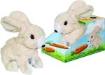 Paw Pals Hoppy The Bunny Westminster 31680 New. Price: $19.90.