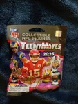 Nfl Teenymates 2025 Series 13 Figurine Blind Pack New. Price: $110.00.