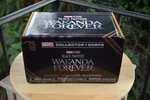 Black Panther Wakanda Forever Funko Pop! -marvel Collector Corp-sz L-*sealed* New. Price: $30.00.