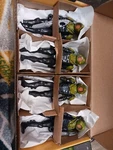 Spin Master Dc Aquaman Sunken Citadel Manta 4" Army Builder Lot Of Used. Price: $55.00.