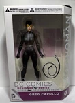 Dc Comics Designer Series Catwoman Greg Capullo Action Figure Nib Nos 6.75" Used. Price: $34.95.