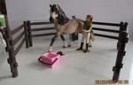 Schleich Horse Club Care Set With Andalusian (a) Used. Price: $15.95.