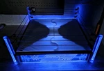 Wwe Smackdown Live Light Up Wrestling Ring Authentic Scale Used. Price: $149.99.
