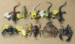 Boley Nature World Insect Reptile Bug Toy Figures Scorpion Spider Ant Lot X (10) New. Price: $64.00.