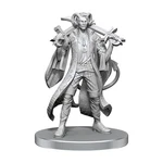 Wizkids Critical Role Unpainted Miniatures Tabletop Rpg Figures Wave 26 (mol New. Price: $11.04.