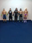 Mattel Wwe Action Figures Lot Of 5 Wrestlers Used. Price: $25.00.