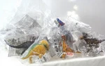 Schleich Dinosaur Set 0F 10 With Limited Edition Figure New. Price: $155.00.