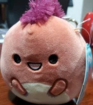 Squishmallow 2 Two Piece Set Kelly And Cole Small Original Jazwares Plush Pets New. Price: $20.00.