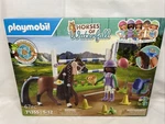 Playmobil Horses Of Waterfall 71355 Zoe & Blaze Brand New!. Price: $29.03.