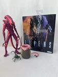 Neca Aliens Xenomorph Warrior Arcade Video Game Appearance 7" Action Figure Used. Price: $49.99.