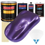 Plum Crazy Metallic Slow 1 Gallon Auto Car Paint Kit Urethane Basecoat Clearcoat New. Price: $377.99.