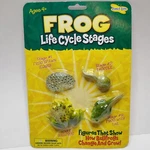 Insect Lore Life Cycle Stages Figures Bullfrogs Education Nature Unisex Kid New. Price: $14.99.