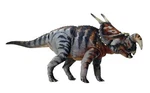 Creative Studio Of The Mesozoic: Ceratopsian Series Einiosaurus ... New. Price: $100.69.