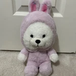 Cute & Cuddly Plush Stuffed Animal Bear Bunny Suit Costume Pink Jazwares Used. Price: $10.95.