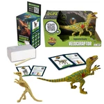Explorers: Ar Dinosaur Xl & Brick Combo - 10" Velociraptor Sound Figure New. Price: $34.99.