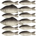 Liliful 24 Pcs Fake Fish Artificial Realistic Toys Stuffed Foam Faux Sea In New. Price: $56.61.