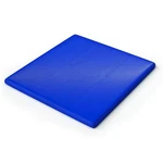 Whitney Brothers Blue Floor Mat New. Price: $102.96.