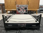 Jazwares Aew Authentic Scale Ring Double Or Nothing Aubrey Edwards Lot Used. Price: $165.00.